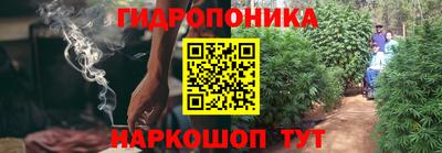 ешки Камышлов