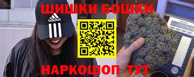 ешки Камышлов